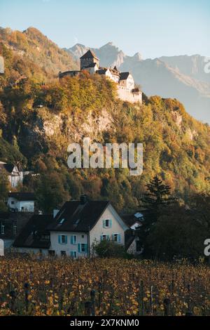 Weinberge Reihen mit Herbstlaub, einer Steinmauer und einer Straße, die zu einem Dorf am Hügel und Schloss Vaduz in Liechtenstein führt. Stockfoto