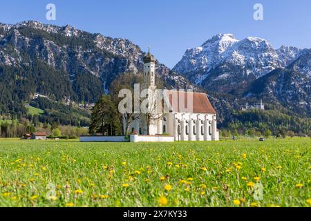 Wallfahrtskirche St. Coloman im Frühjahr, Löwenzahnwiese, hinter Schloss Neuschwanstein, Schwangau, Füssen, Ostallgaeu, Allgaeu, Schwaben, Bayern Stockfoto