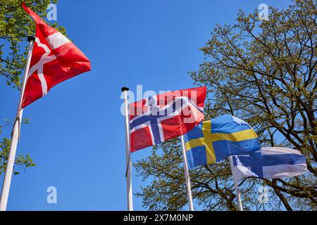 Skandinavische Flaggen von Dänemark, Norwegen, Schweden und Finnland in Niebuell, Landkreis Nordfriesland, Schleswig-Holstein, Deutschland Stockfoto