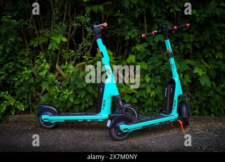 E-Scooter parken am Straßenrand im TIER Fahrradverleih in Stuttgart, Baden-Württemberg, Deutschland Stockfoto