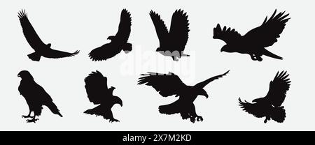 Majestätische Adler Silhouette Vektor-Set detaillierte Sammlung von hoch- und hochstehenden Adlersilhouetten Stock Vektor