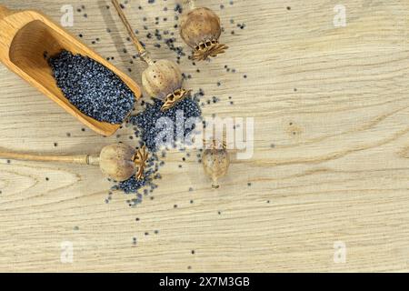 Holzlöffel gefüllt mit Mohnsamen und mehreren getrockneten Mohnschoten auf einem hellen Holztisch Stockfoto