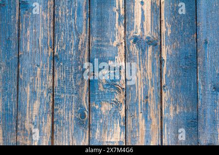 Blauer hölzerner Hintergrund, alte hölzerne Wand mit Resten von türkisfarbener Farbe Stockfoto