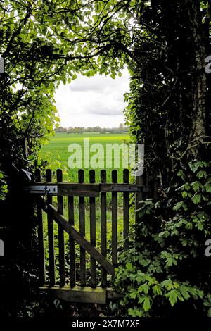 Die Old Rectory Gardens in East Ruston Stockfoto