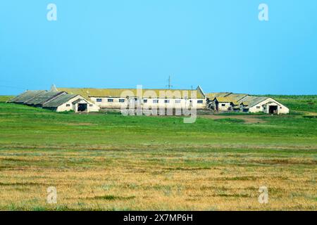 Ein alter verlassener Schäferstall mit Schafstall (Schaffarm) in der Steppe. Sowjetische Schafindustrie (Schafzucht sovkhoz - kollektive Wirtschaft). Stockfoto