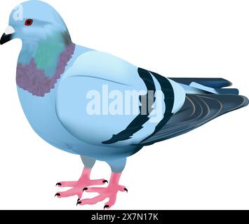 Taubenvogel. Flaches Zeichentrickmuster. Buntes Vogelsymbol. Niedliche Taubenvorlage. Vektorillustration auf weißem Hintergrund isoliert Stock Vektor