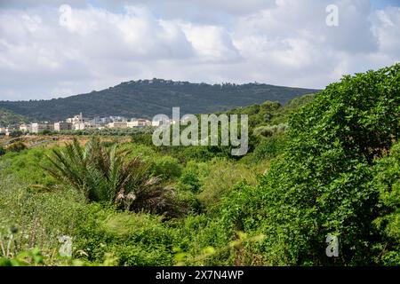 Obergaliläa, Israel Landschaft Sallama Dorf im Hintergrund fotografiert im Tzalmon Fluss Naturschutzgebiet Obergaliläa, Israel Sallama ist ein B Stockfoto