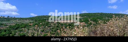 Obergaliläa, Israel Landschaft Sallama Dorf im Hintergrund fotografiert im Tzalmon Fluss Naturschutzgebiet Obergaliläa, Israel Sallama ist ein B Stockfoto