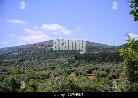 Obergaliläa, Israel Landschaft Sallama Dorf im Hintergrund fotografiert im Tzalmon Fluss Naturschutzgebiet Obergaliläa, Israel Sallama ist ein B Stockfoto