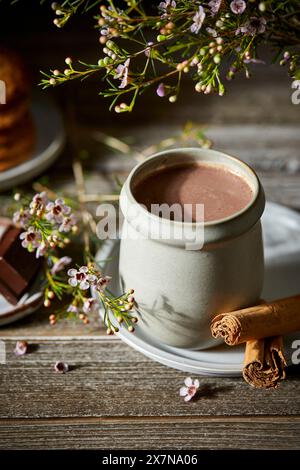 Mexikanische heiße Schokolade auf dunklem Holzhintergrund mit Blumen, Keksen und Zimtstangen. Stockfoto