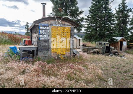 Lustige Blockhütte mit Nummernschildern, Top of the World Highway, Alaska, USA Stockfoto