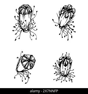 Vektorsatz von Elementen mit handgezeichneten Pfingstrosen Mohnschoten, Knospen. Isoliert auf weißem Hintergrund. Botanische Grafik. Entwerfen Sie Einladungen Stock Vektor