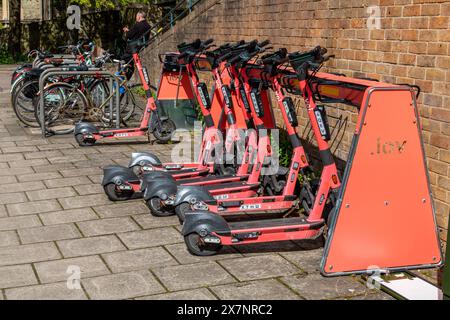 Eine Reihe gut geparkte VOI-Mietmotorroller. Cambridge, England, Großbritannien Stockfoto