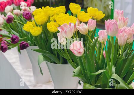 Schöne Tulpen auf der Theke eines Blumenladens. Blumen Stockfoto