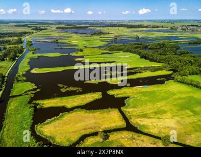 WOERDENSE VERLAAT - Natur- und Naherholungsgebiet Nieuwkoopse Plassen bei Woerdense Verlaat, Noorden, Nieuwkoop und Meije. Die Gegend ist bei Erholungssuchenden und Naturliebhabern beliebt. Foto: ANP / Hollandse Hoogte / John van der Tol niederlande Out - belgien Out Stockfoto