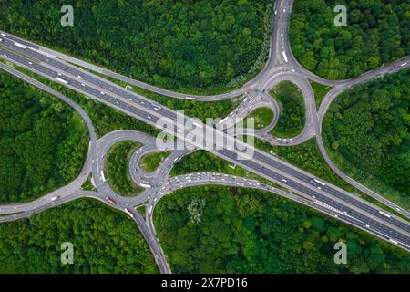 Blick aus der Vogelperspektive direkt über einer geschäftigen Autobahnkreuzung, die einen Bogen durch dichten Wald mit grünen Baumkronen zur Kohlenstoffabscheidung schneidet Stockfoto