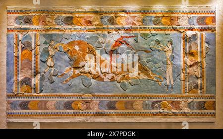 Minoisches Fresko, das eine Szene mit einem Bullensprung darstellt, gefunden im Palast Knossos, 1600-1400 v. Chr., Archäologisches Museum Heraklion, Griechenland Stockfoto