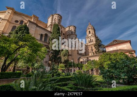 Ein Blick auf die Kathedrale von Malaga, Spanien, umgeben von Grün Stockfoto