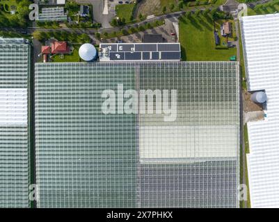 Große Gruppe von Gewächshäusern in den Niederlanden, Blick auf die Drohne. Grüne Gewächshäuser in der Nähe von Monster, den Haag. Stockfoto