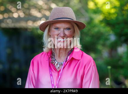 Anneka Rice, in Walisisch geborene Fernseh- und Radiomoderatorin, Journalistin und Malerin bei der RHS Chelsea Flower Show. Stockfoto