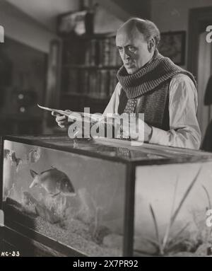 Hue And Cry Original British Quad Film Poster Ealing Studios Michael Balcon General Film Distributors, 1947 Stockfoto