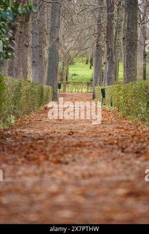 Pfad durch Waldgebiete im El Retiro Park, Madrid, Spanien Stockfoto