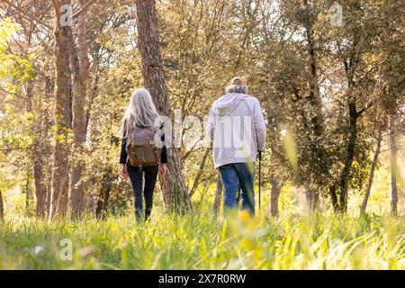 Ein liebevolles Seniorenpaar spaziert Hand in Hand durch einen üppigen, sonnendurchfluteten Wald und genießt gemeinsam ein ruhiges Date im Freien Stockfoto