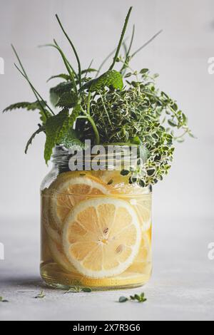 Frische geschnittene Zitronen und aromatische Kräuter in einem Glasgefäß, vor hellem Hintergrund für eine erfrischende Atmosphäre. Stockfoto