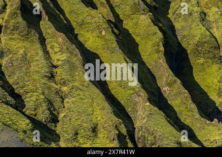 Luftaufnahme mit der markanten Textur der isländischen Hochlandkämme, bedeckt mit sattem grünem Moos. Stockfoto