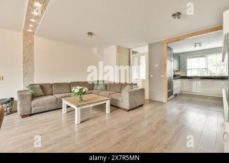 Ein offener Wohnbereich mit einem weichen Sofaset und einer funktionalen Küche mit modernen Geräten, die von Tageslicht beleuchtet wird. Stockfoto