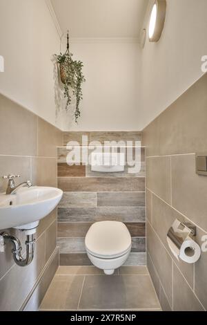 Modernes Badezimmer mit strukturierten Fliesenwänden, hängender Topfpflanze, weißem Keramikwaschbecken und moderner Toilette mit klaren Linien. Stockfoto