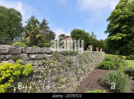 Gardens at Plas Newydd, Anglesey, Wales, Vereinigtes Königreich Stockfoto