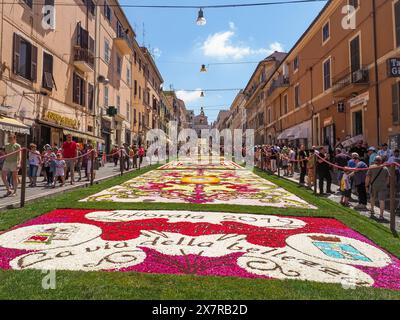 Künstlerischer Teppich aus Blütenblättern auf der Straße Italiens. „Infiorata“ oder dekoriert mit Blumen Festival. Blumendekoration, Teppich mit Schnittblumen, farbenfroher Wettbewerb Stockfoto