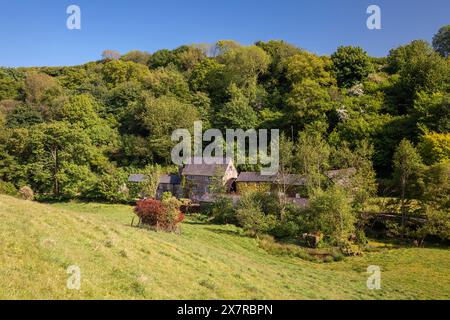 England, Devon, South Hams, East Cornworthy, Brambletorre Mill Stockfoto