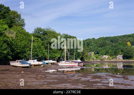 England, Devon, Higher Dittisham, Dittisham Mill Creek an der Dart Mündung Stockfoto