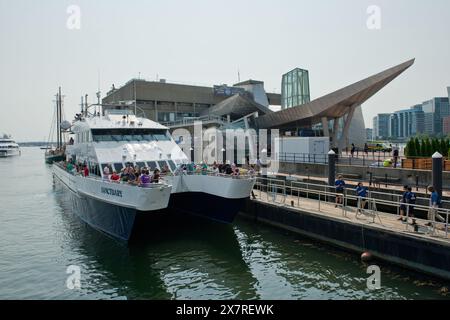 Walbeobachtungsboot. New England Aquarium am Central Wharf. Boston, Massachusetts, USA Stockfoto