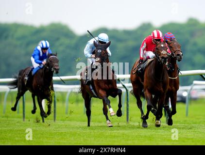 Battle Queen, geritten von Jockey Oisin Murphy (rechts, rot und weiß) auf dem Weg, die Discover Hospitality auf der Nottingham Racecourse Maiden Stakes (Div II) auf der Nottingham Racecourse zu gewinnen. Bilddatum: Dienstag, 21. Mai 2024. Stockfoto