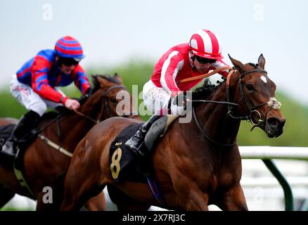 Battle Queen wurde von Jockey Oisin Murphy (rechts) auf dem Weg zum Sieg der Discover Hospitality auf der Nottingham Racecourse Maiden Stakes (Div II) auf der Nottingham Racecourse gefahren. Bilddatum: Dienstag, 21. Mai 2024. Stockfoto