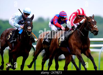 Battle Queen wurde von Jockey Oisin Murphy (rechts) auf dem Weg zum Sieg der Discover Hospitality auf der Nottingham Racecourse Maiden Stakes (Div II) auf der Nottingham Racecourse gefahren. Bilddatum: Dienstag, 21. Mai 2024. Stockfoto