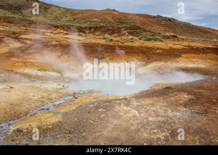 Seltun Geothermie Gebiet in Krysuvik, Landschaft mit dampfenden heißen Quellen und orange Farben des Schwefelbodens, Island. Stockfoto