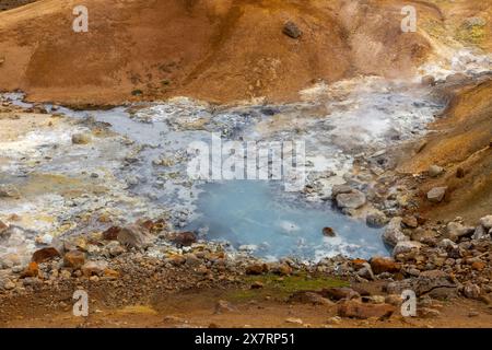 Dampfende heiße Quellen im Geothermalgebiet Seltun in Krysuvik mit orangefarbenen Schwefelböden, Island. Stockfoto