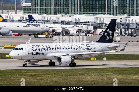 München, 6. April 2024: Ein Lufthansa Airbus A320-214 fährt mit dem Taxi zur Start- und Landebahn am Flughafen München. Das Flugzeug hat eine Star Alliance-Lackierung. (Foto von und Stockfoto