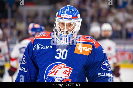 Zürich, 20. April 2024: #30 Simon Hrubec, Torhüter ZSC Lions. (Foto: Andreas Haas/dieBildmanufaktur) Stockfoto