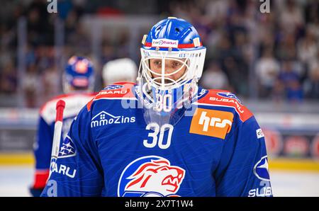 Zürich, 20. April 2024: #30 Simon Hrubec, Torhüter ZSC Lions. (Foto: Andreas Haas/dieBildmanufaktur) Stockfoto