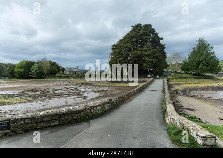 Blick auf Church Island, Menai Strait, Anglesey, Nordwales, Großbritannien. Aufgenommen am 24. April 2024. Stockfoto