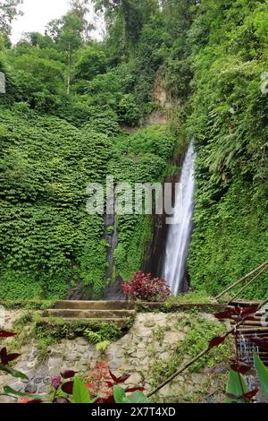 Melanting Waterfall in Munduk, Bali in Indonesien Stockfoto