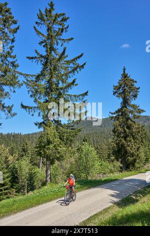 Aktive Seniorin auf einer Fahrradtour mit ihrem E-Mountainbike im felsigen Gipfel des Großen Arbers im Bayerischen Wald, Bayern, Ger Stockfoto