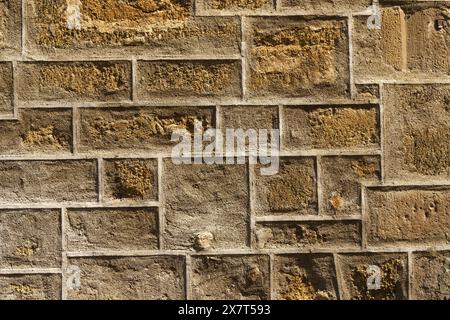 Detaillierte Ansicht einer Ziegelwand mit einheitlichen Quadraten, die ein strukturiertes und abstraktes Muster erzeugen. Stockfoto