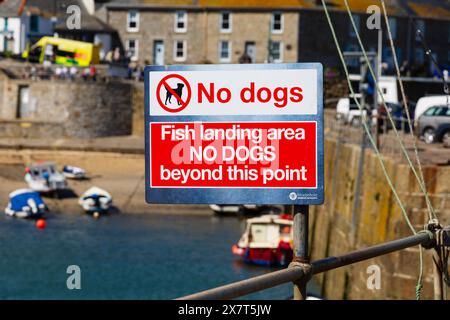 Hunde sind im Fischanlandebereich am Kai im malerischen Fischerdorf Mousehole, Cornwall, West Country, England, nicht erlaubt Stockfoto