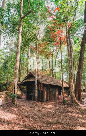 Wunderschöne Aussicht auf verwitterte Holzhütte mit roten Ahornblättern im tropischen Regenwald im Nationalpark von Thailand. Schule für Politik und Militär in Stockfoto